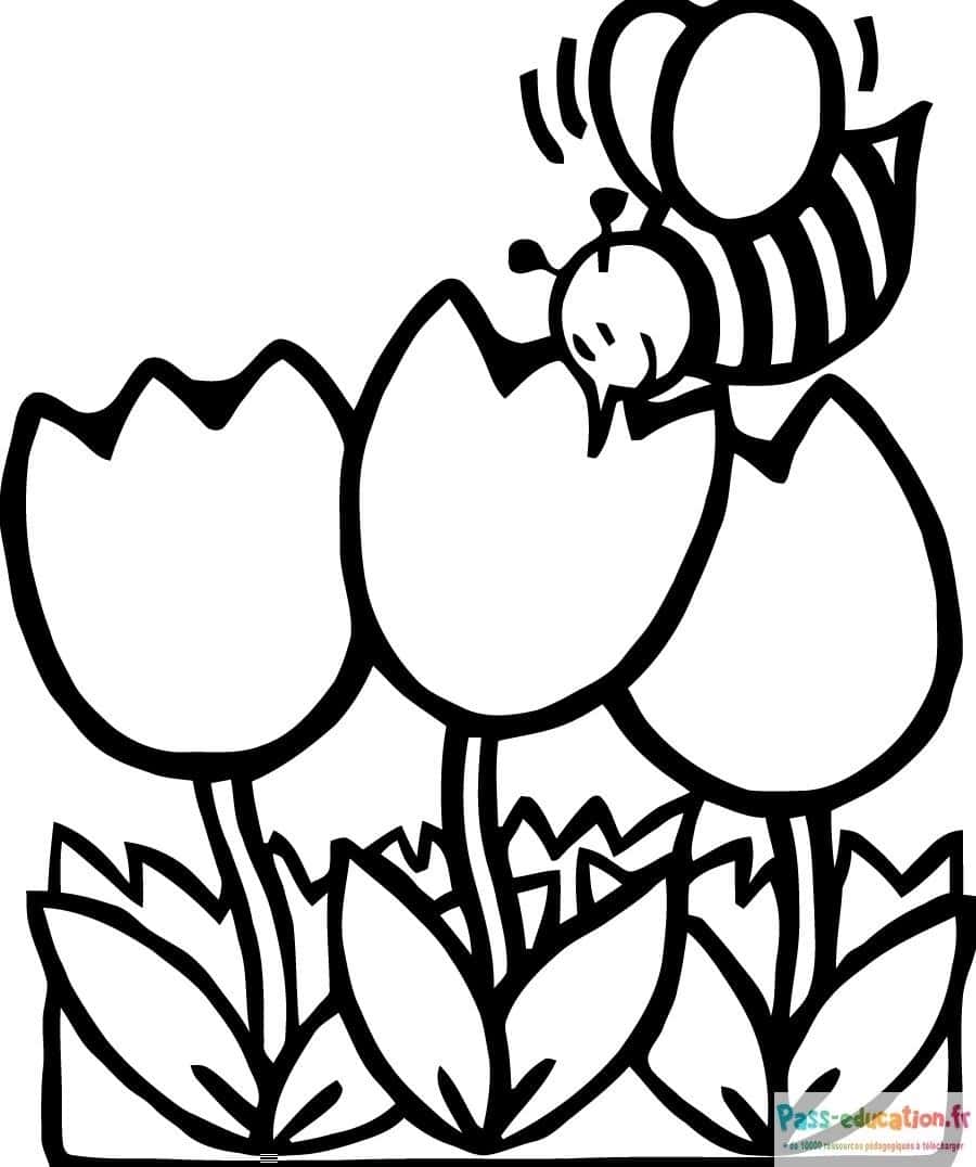 Abeille et tulipes