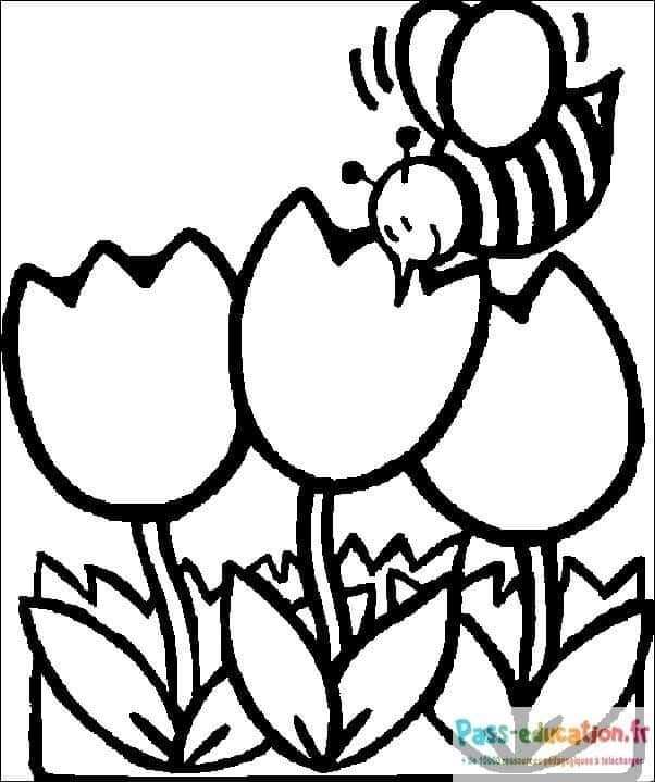 Abeille et tulipes