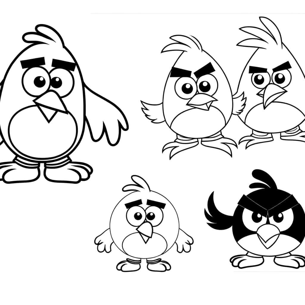 Angry Birds rigolos