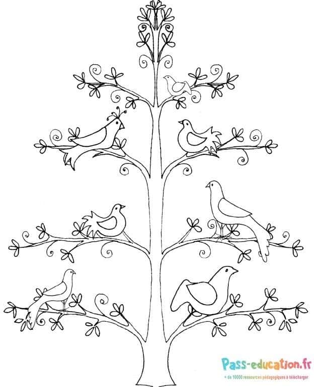 Arbre et oiseaux