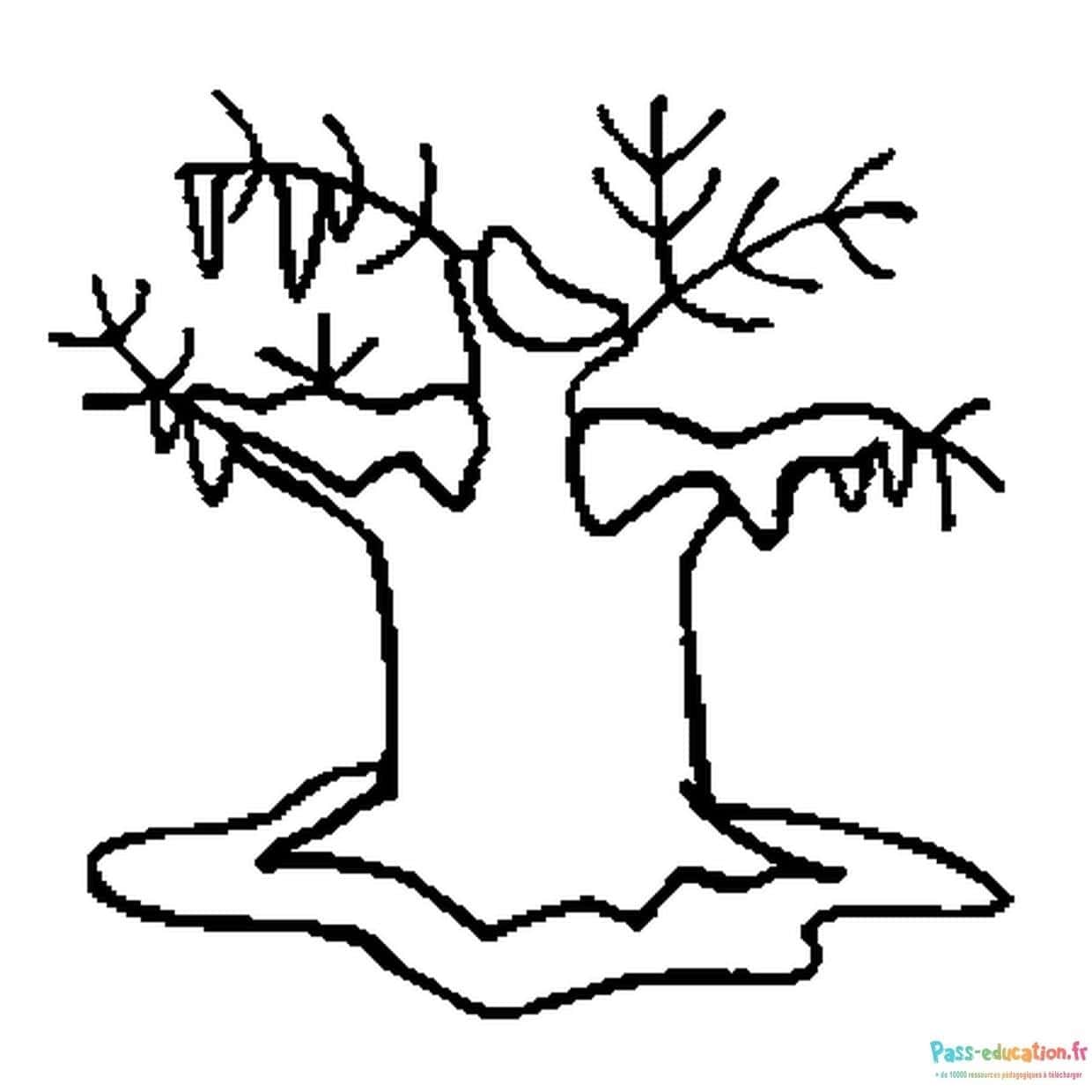 Dessin arbre sans feuilles