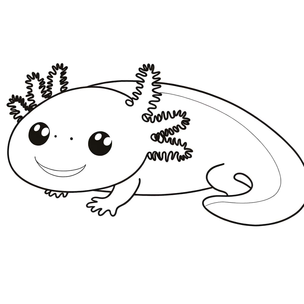 Axolotl souriant