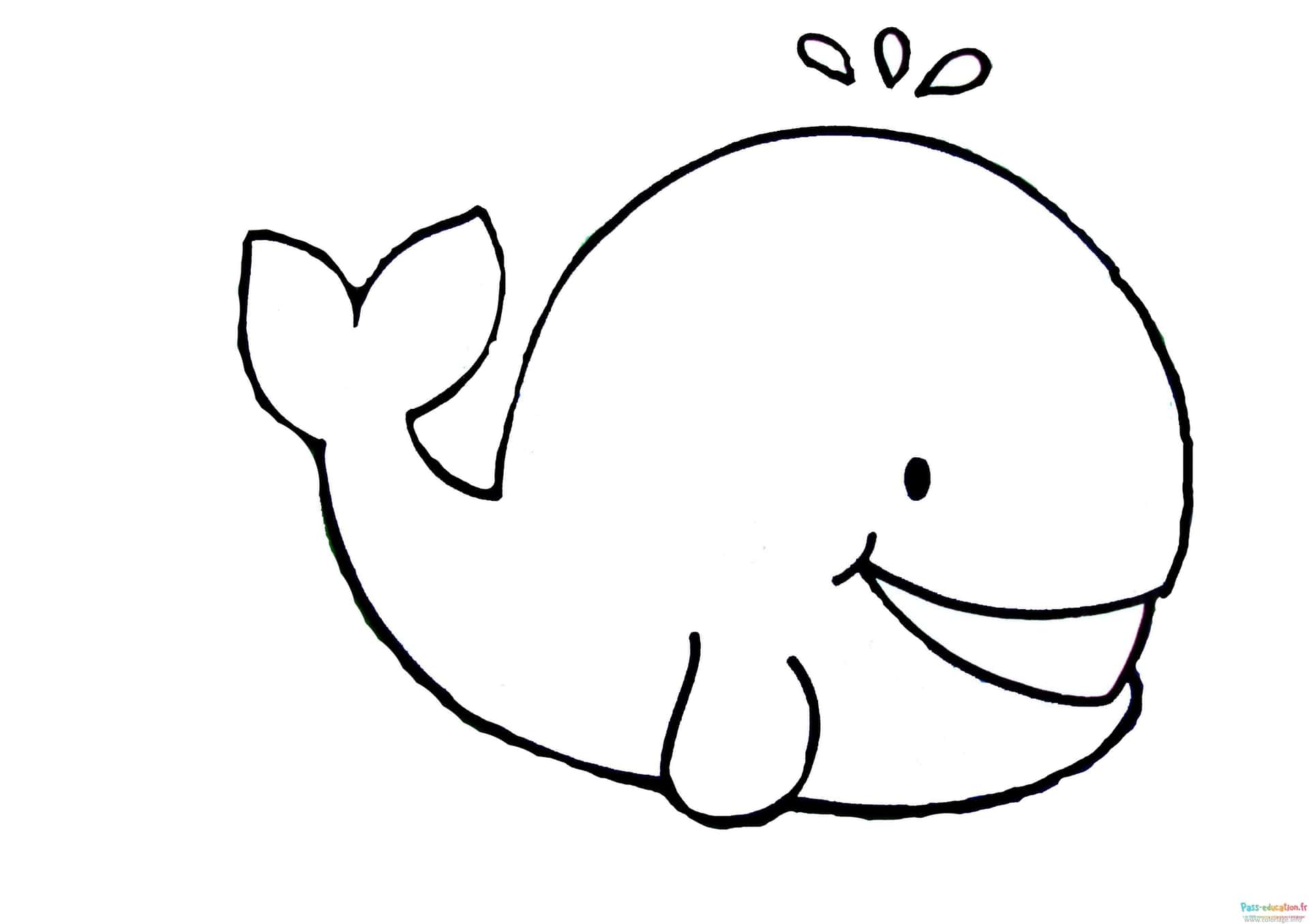 Baleine souriante