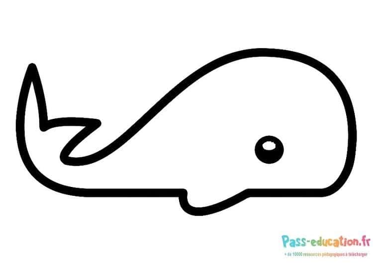 Baleine minimaliste