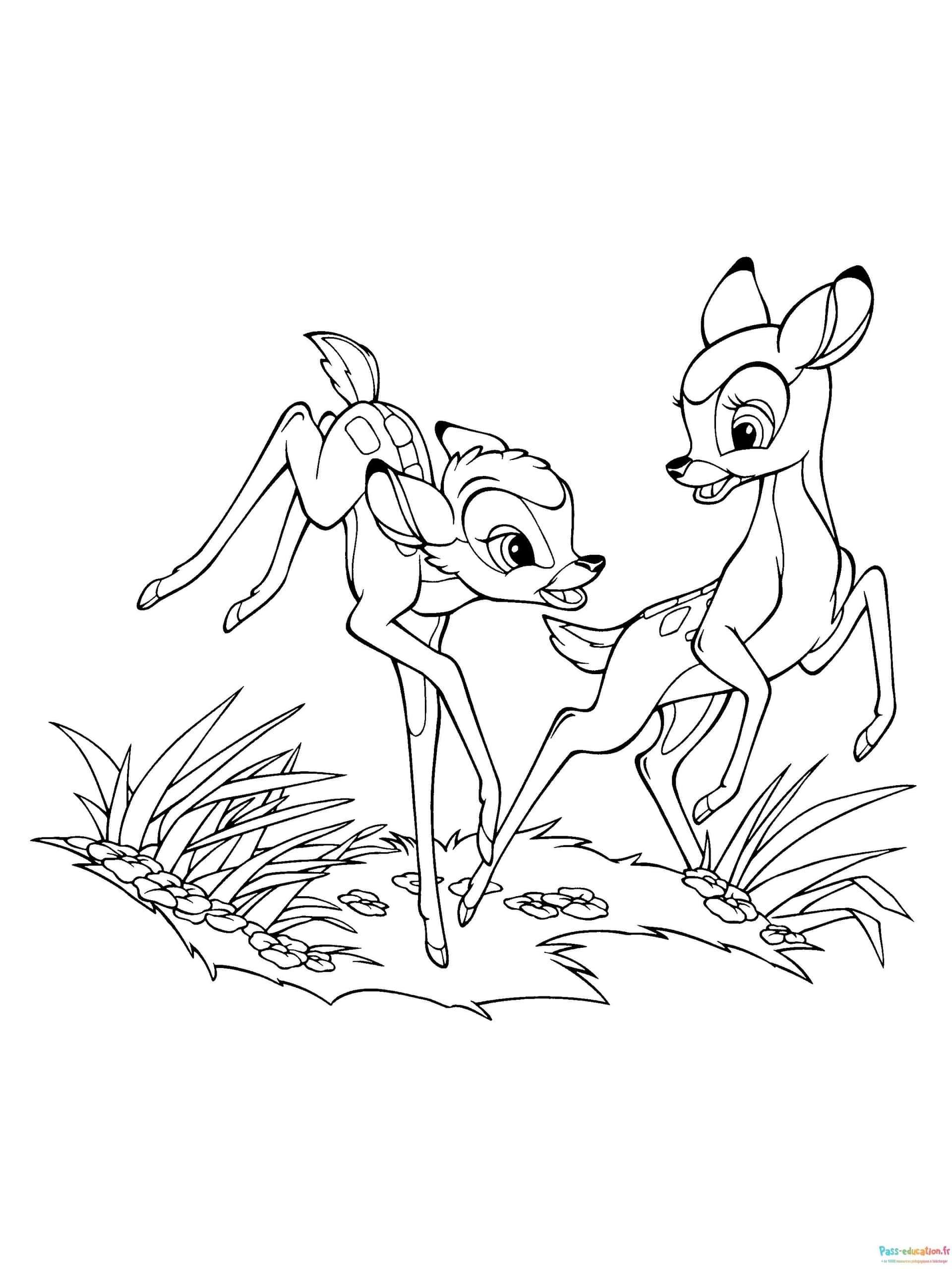 Bambi et Feline