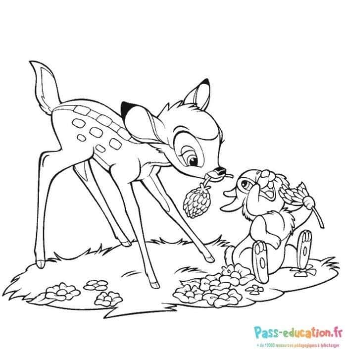 Bambi et Panpan