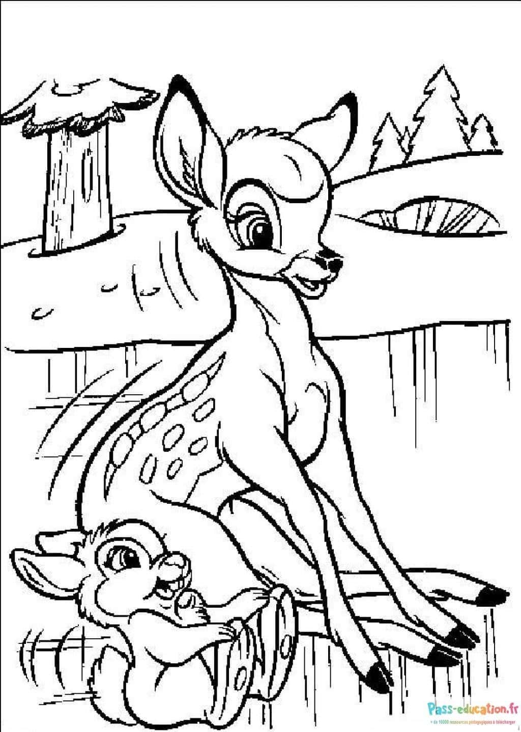 Bambi et Panpan