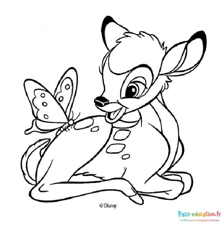 Bambi et papillon