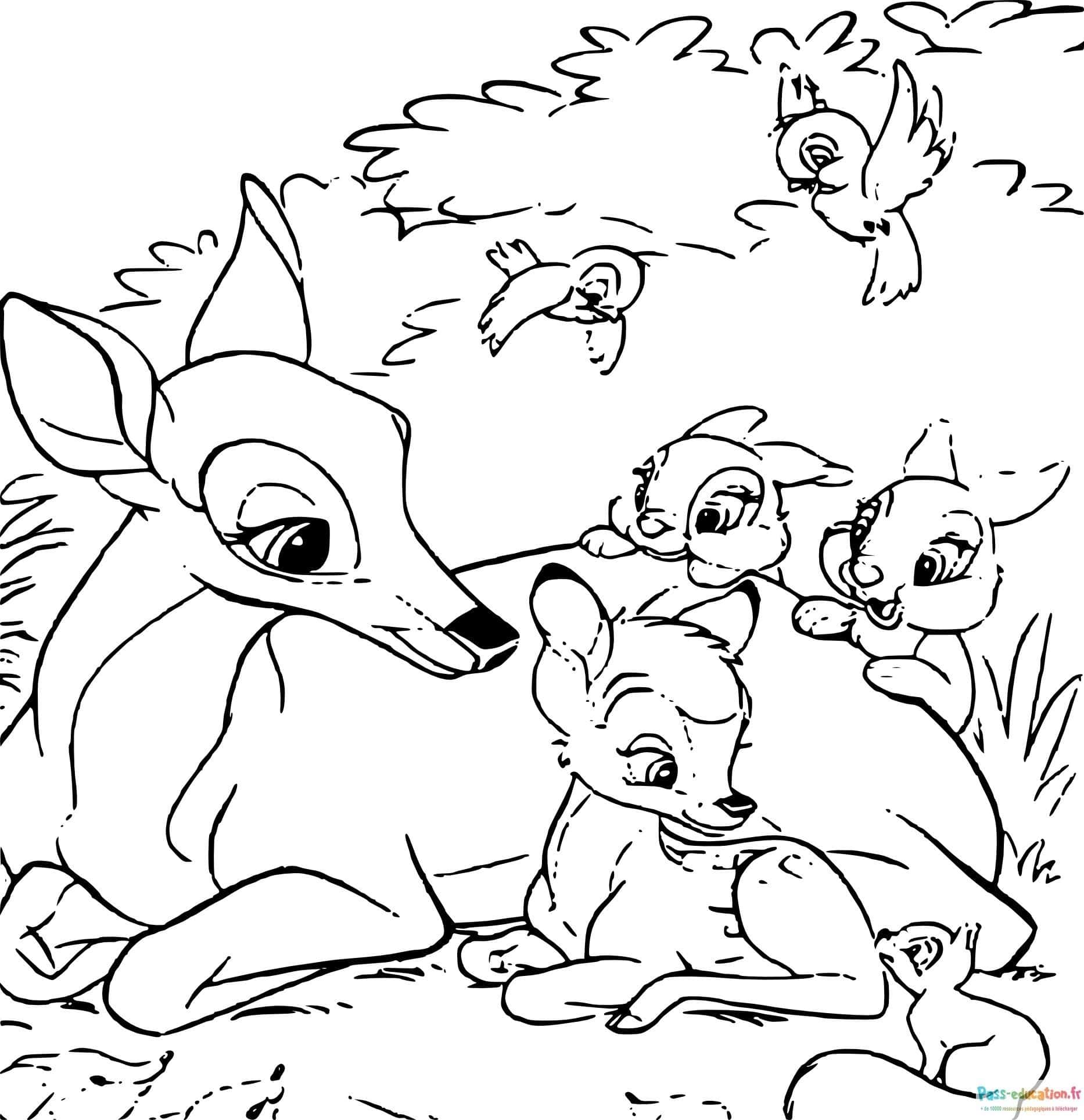 Bambi et ses amis