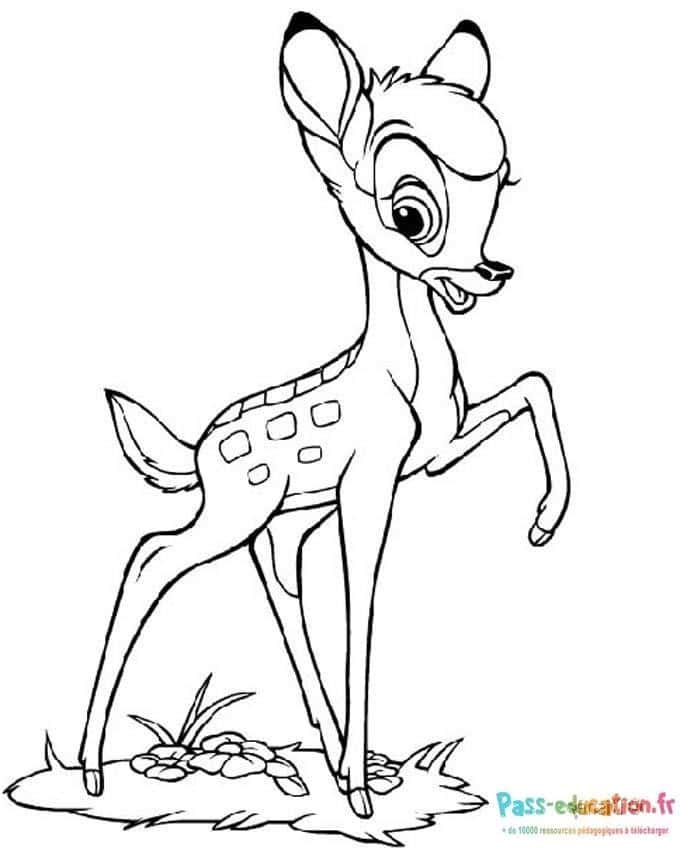 Bambi en joie