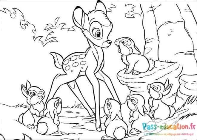 Bambi et amis