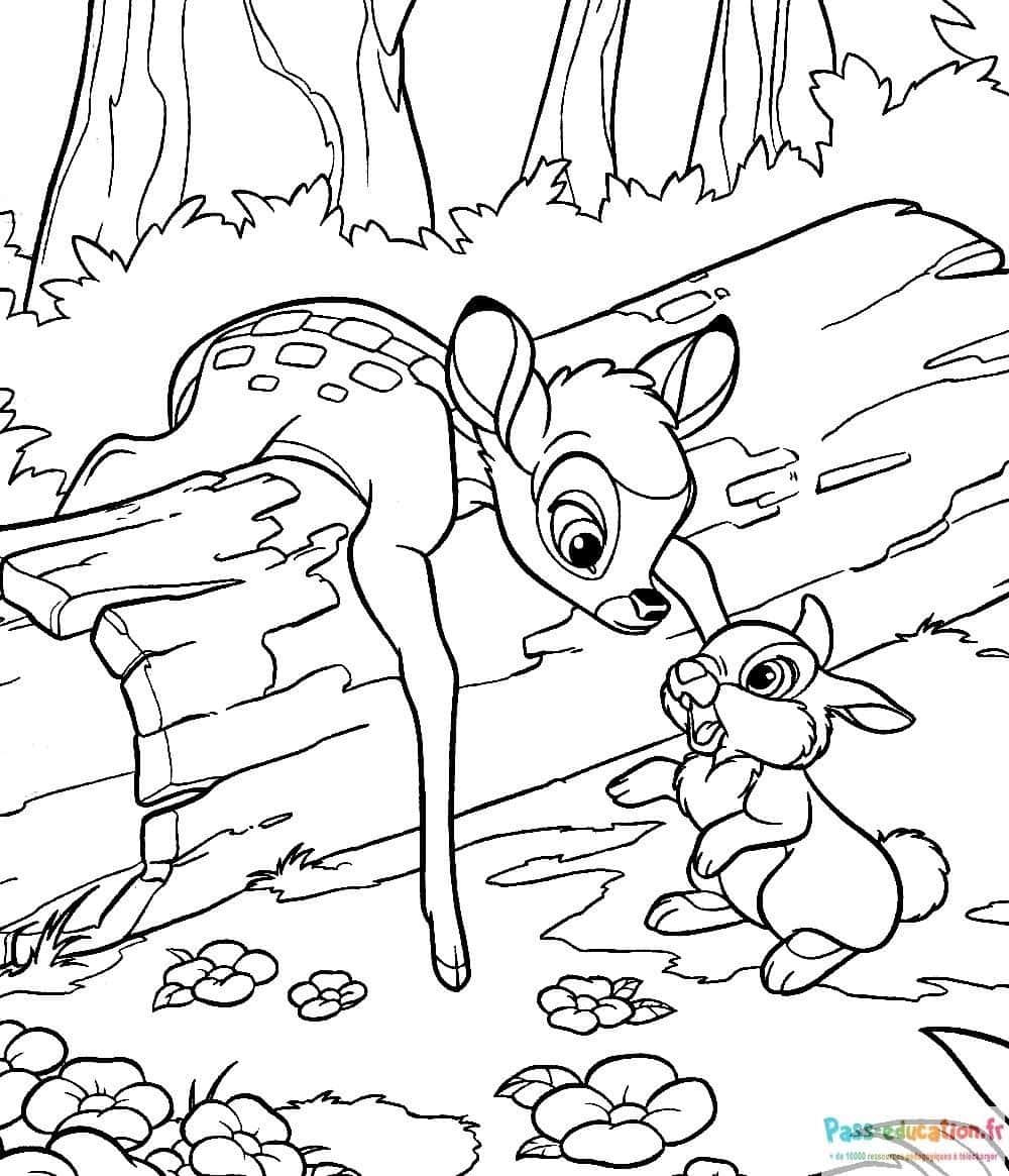 Bambi et Panpan