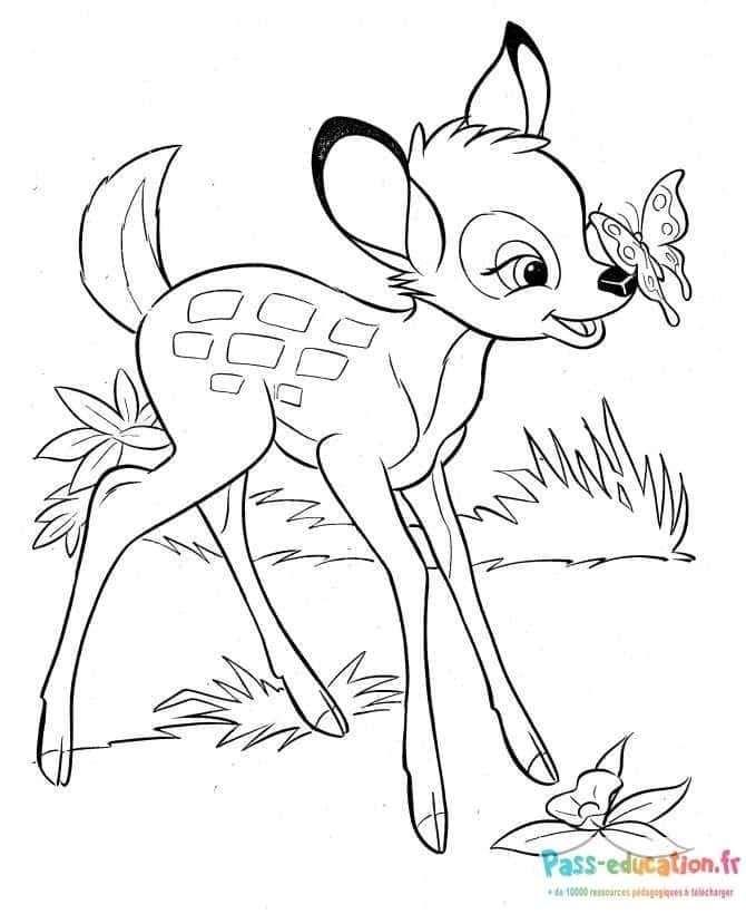 Bambi et papillon