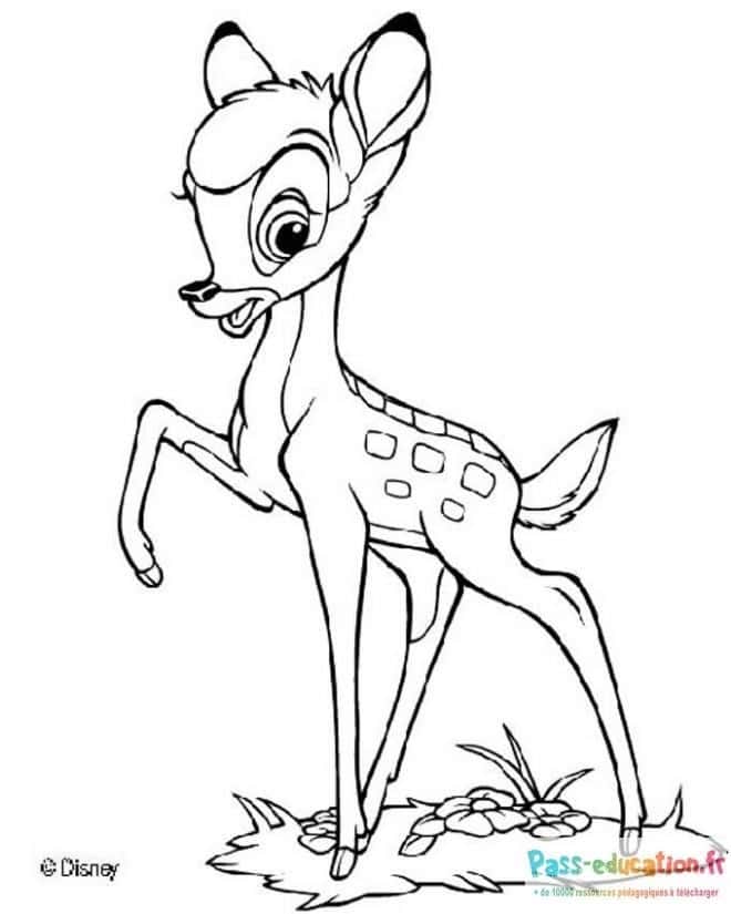 Bambi debout