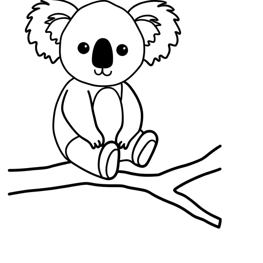 Bébé Koala