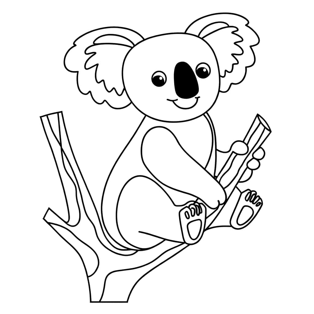 Bébé Koala