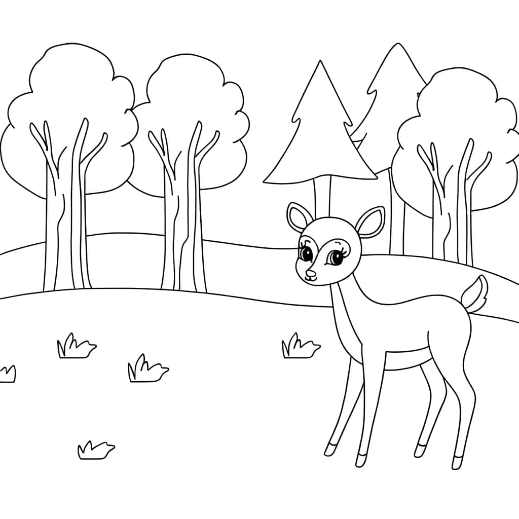 Biche gracieuse forêt coloriage gratuit à imprimer