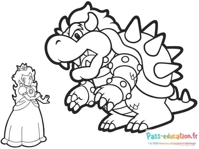 Bowser et Princesse