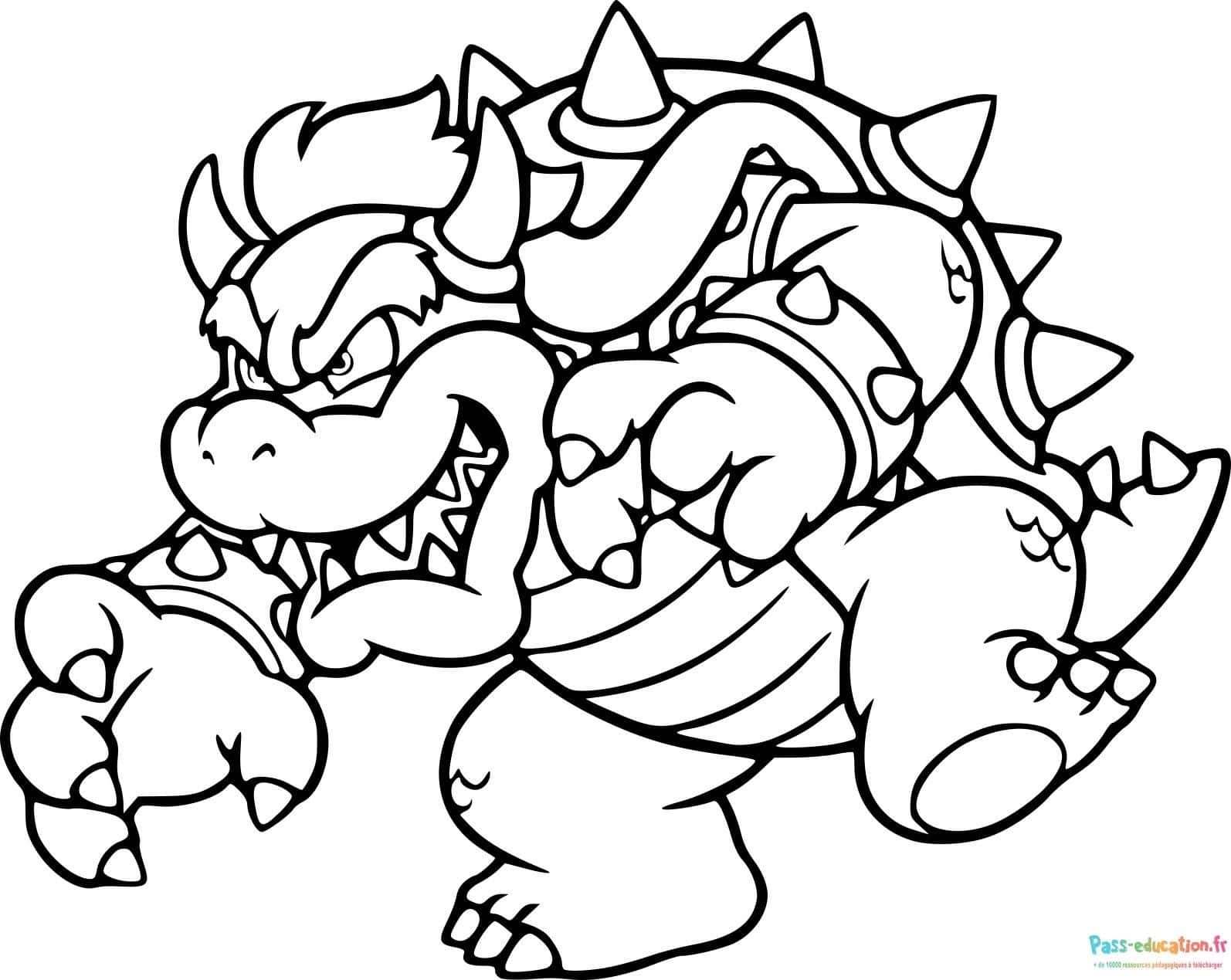 Bowser en colère