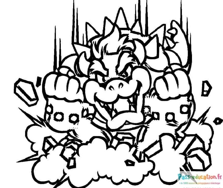 Bowser en action