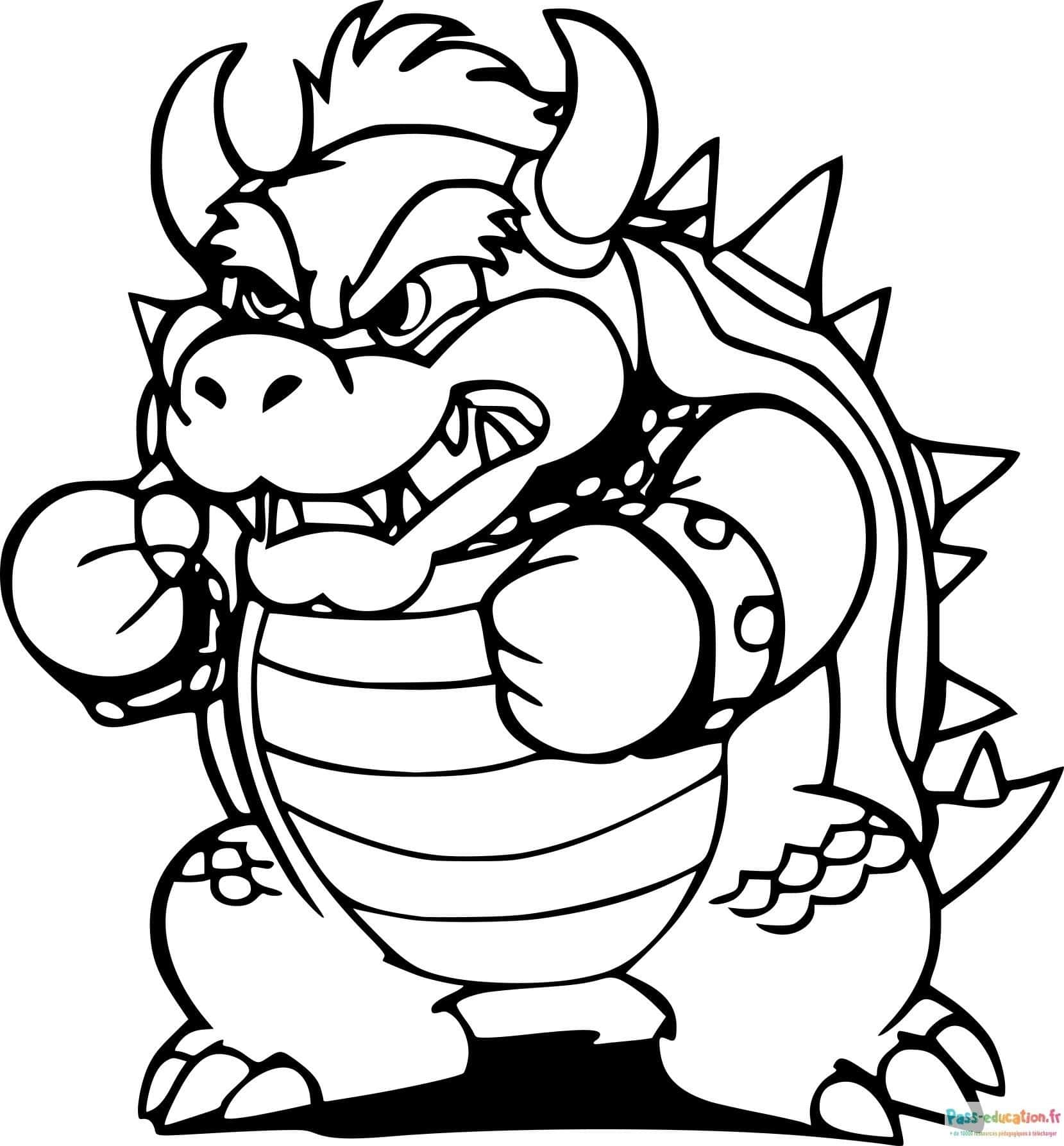 Bowser féroce