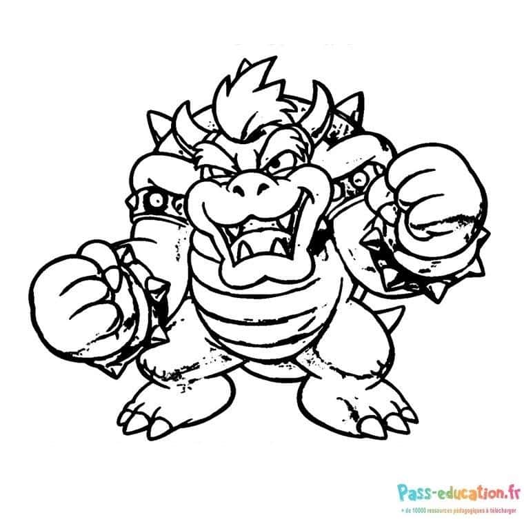 Bowser en action