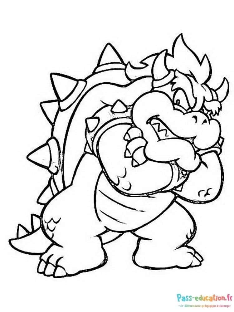 Bowser en colère