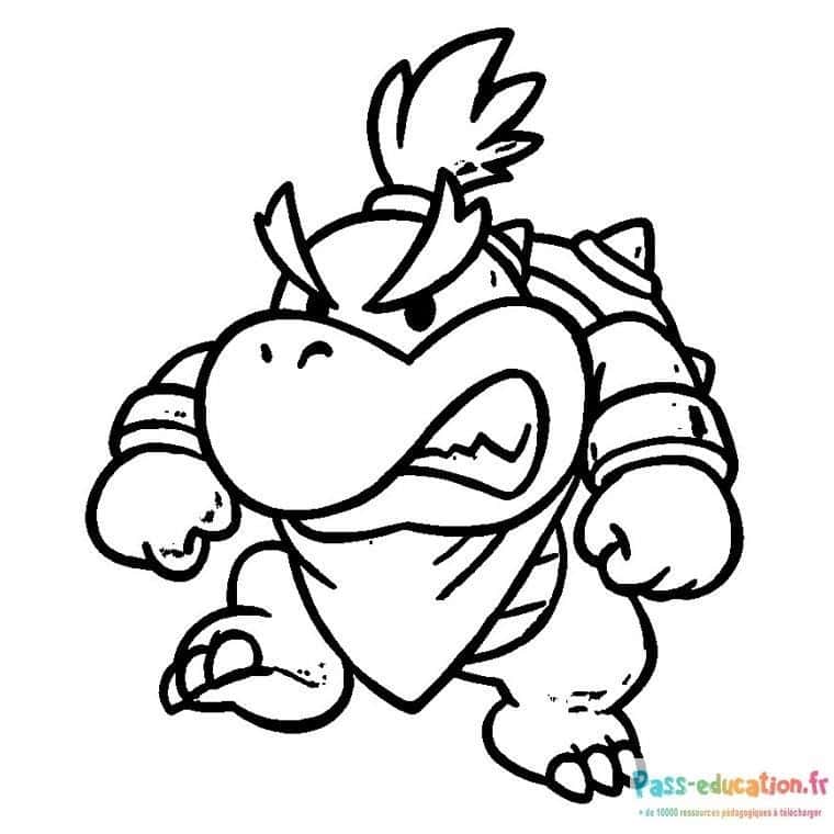 Bowser furieux