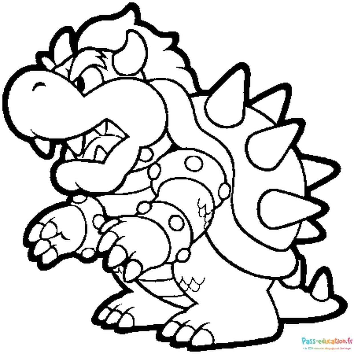 Bowser féroce