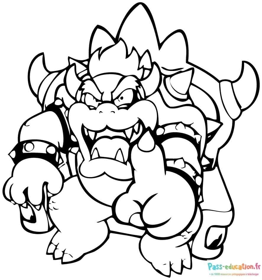 Bowser féroce