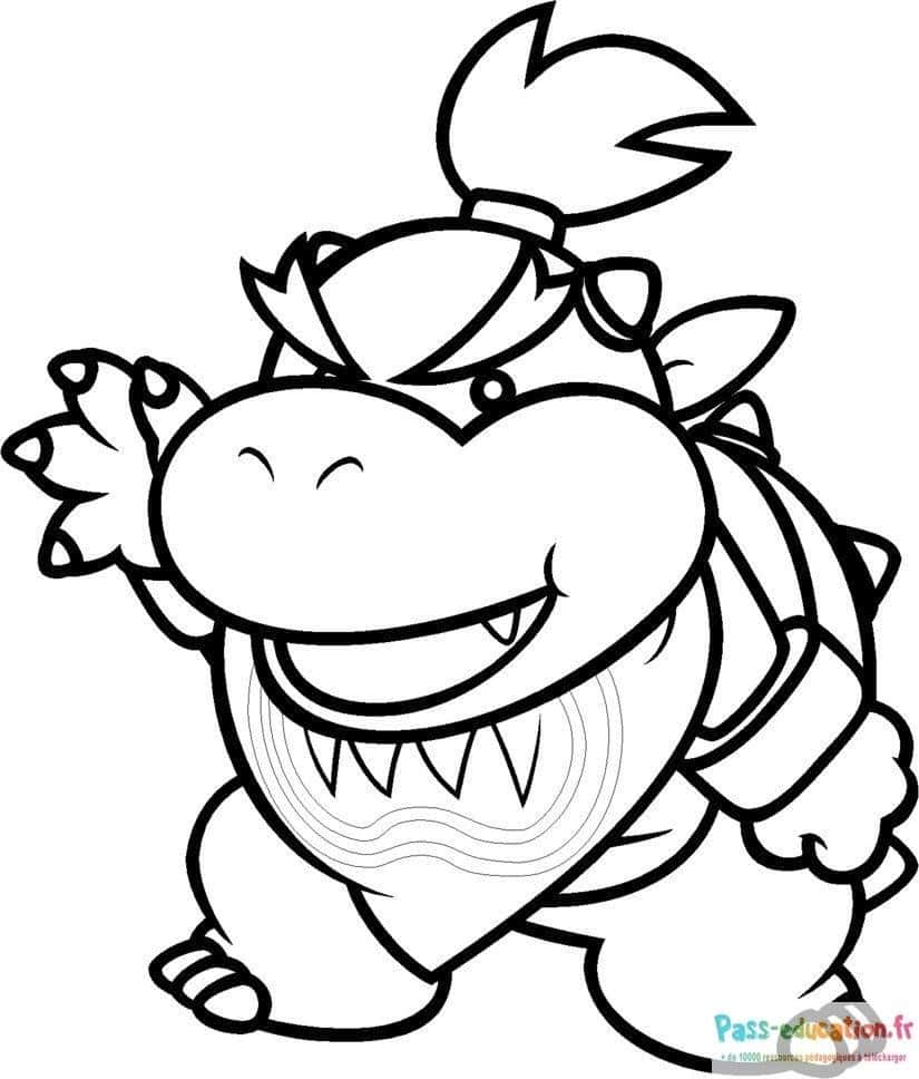 Bowser souriant