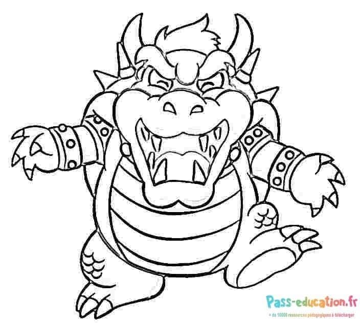 Bowser féroce