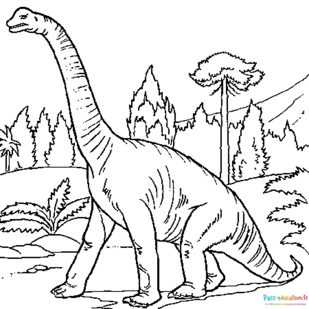 Dinosaure Brachiosaure