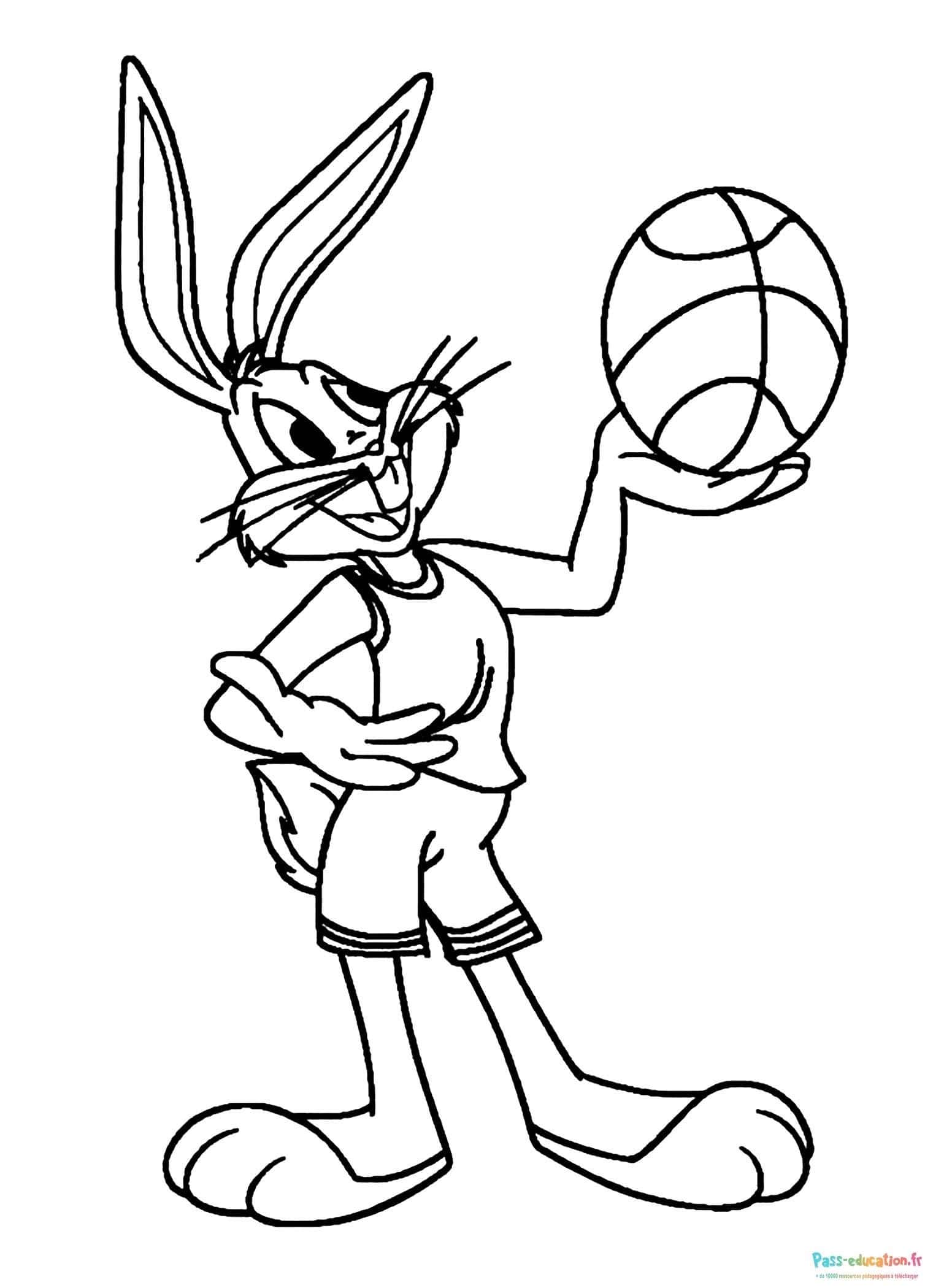 Bugs au basketball