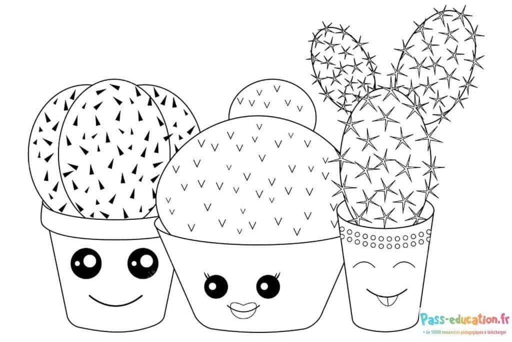 Cactus souriants