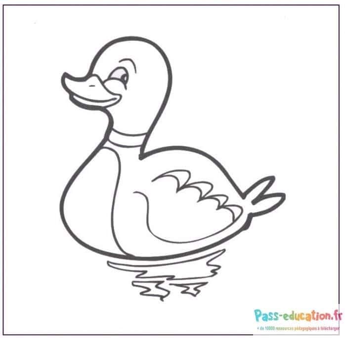 Canard souriant