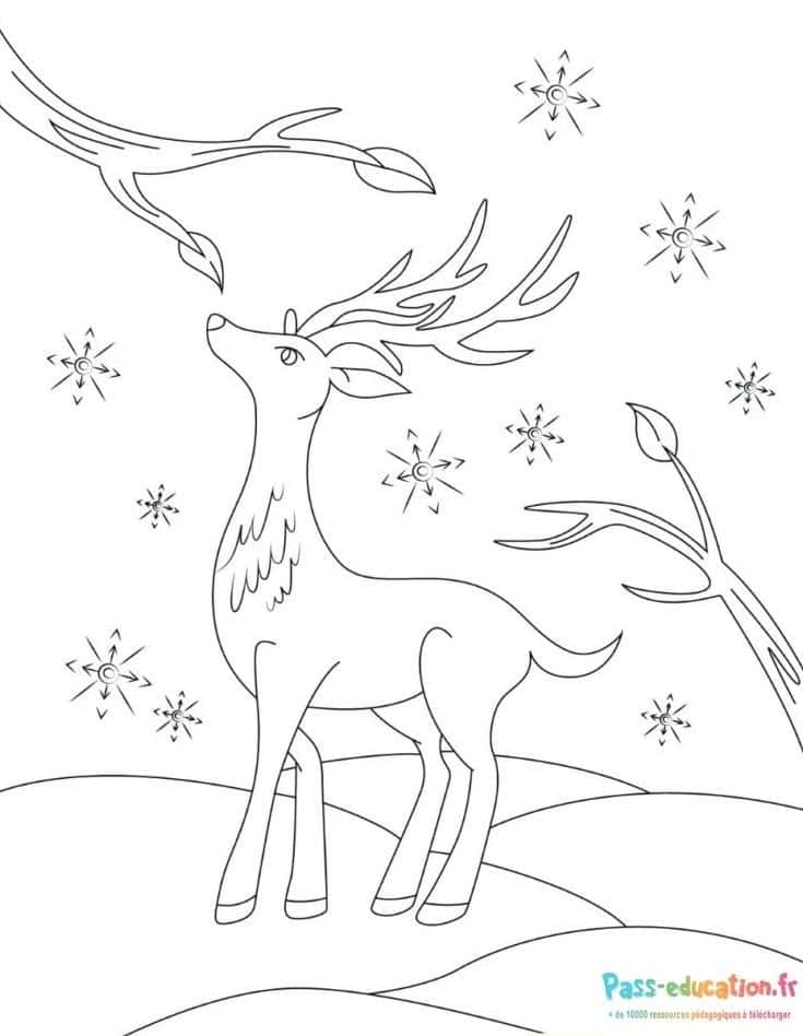 Cerf ailé sous la neige