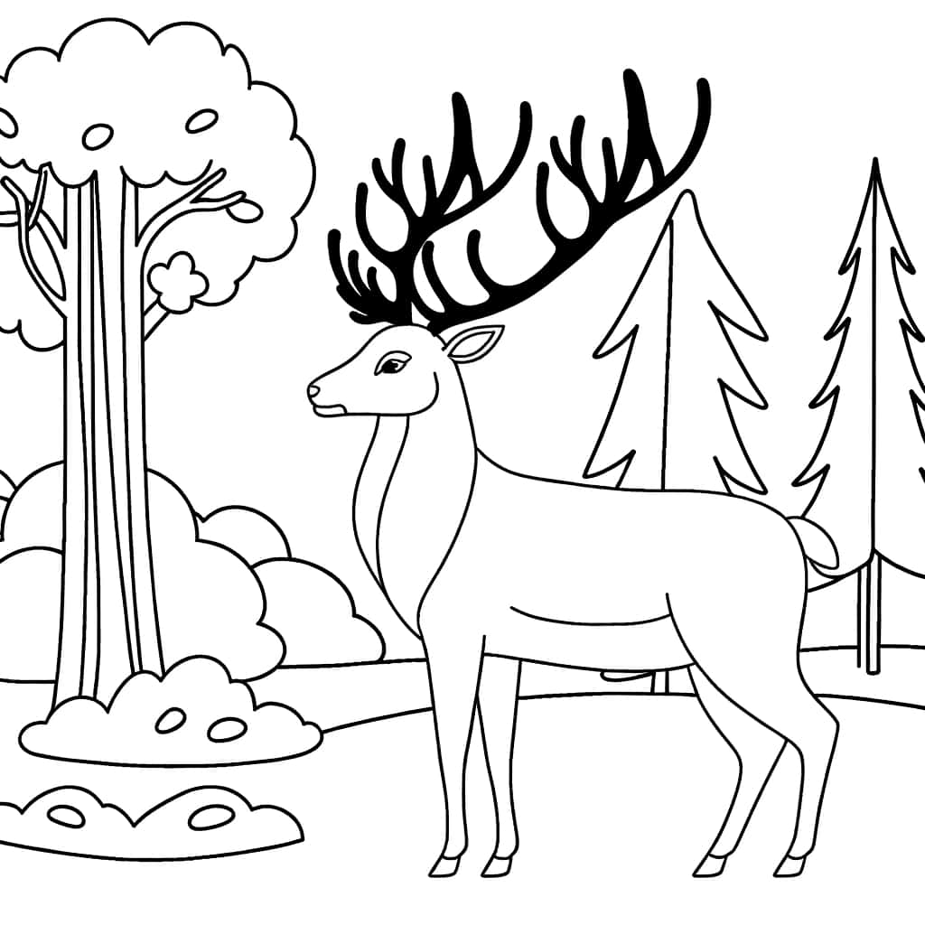 Cerf en forêt