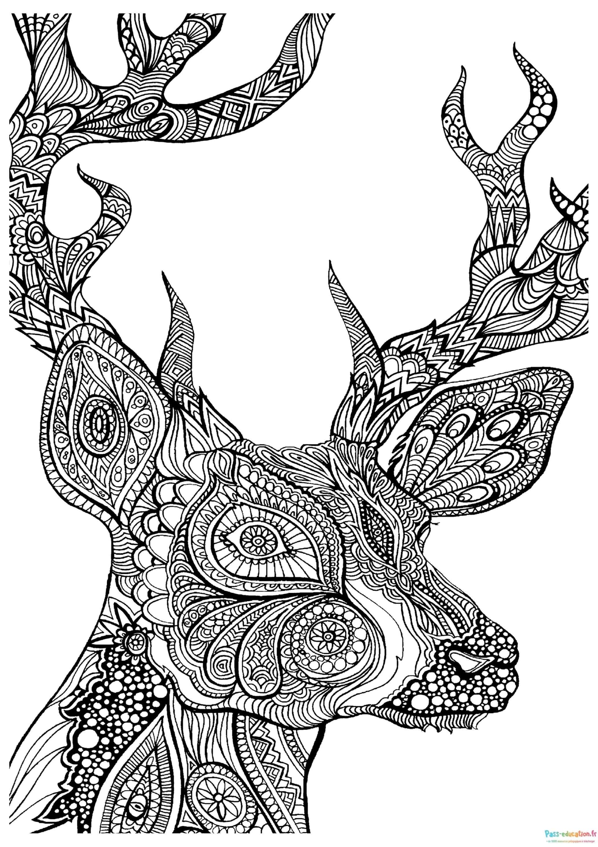 Cerf Zentangle