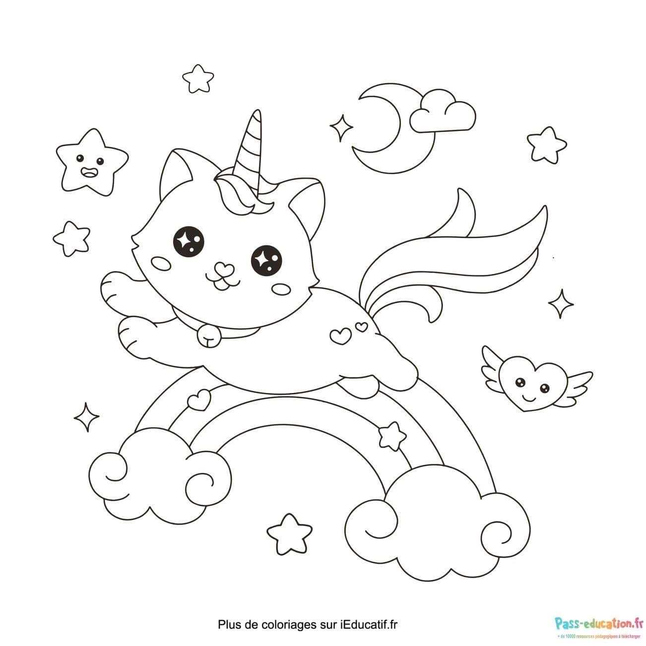 Chat licorne arc-en-ciel