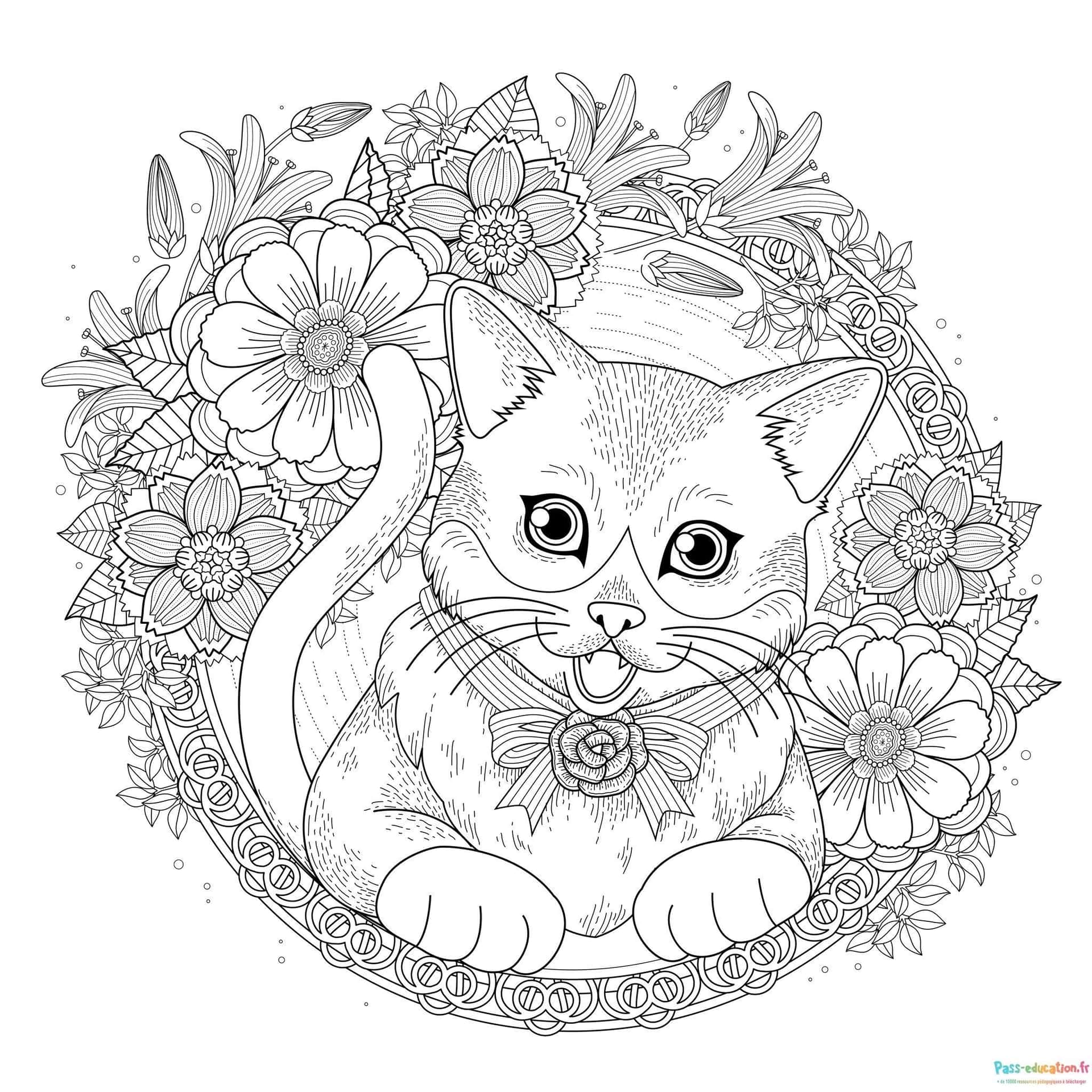 Chat en fleurs