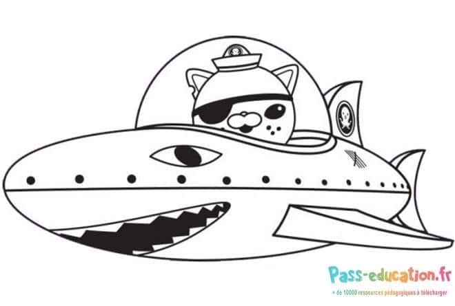 Chat pilote