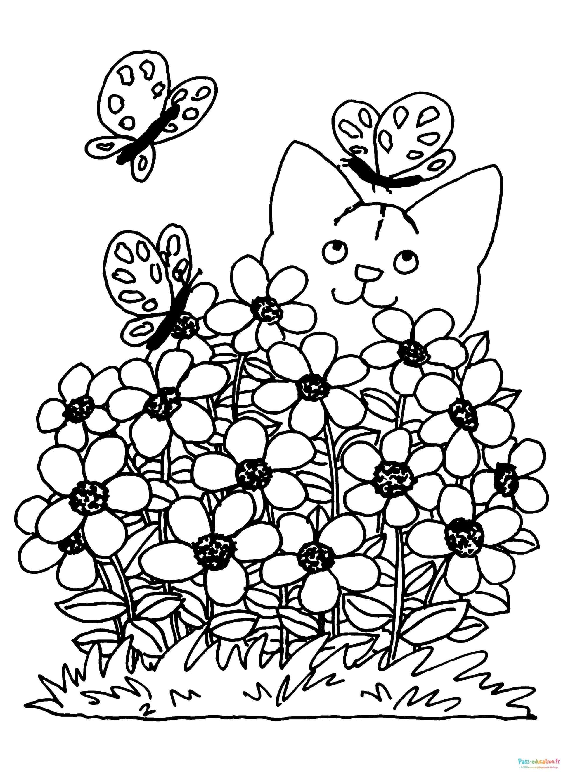 Chat parmi les fleurs