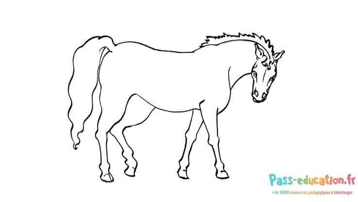 Dessin cheval