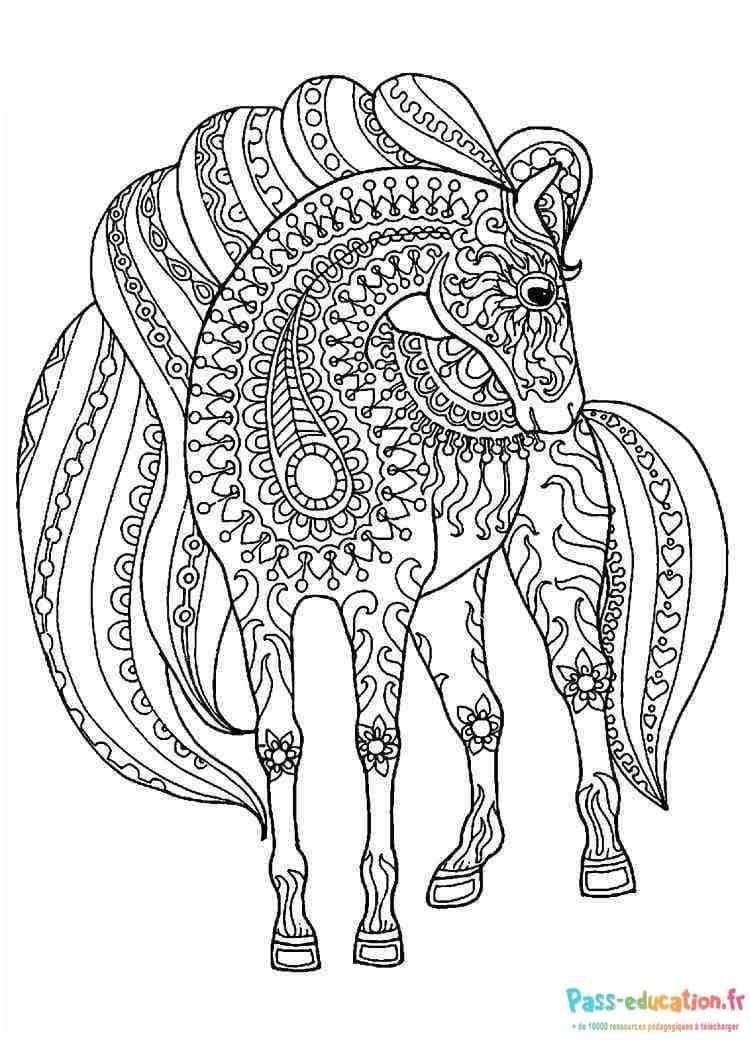 Cheval mandala