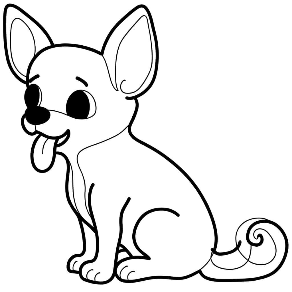 Chihuahua mignon