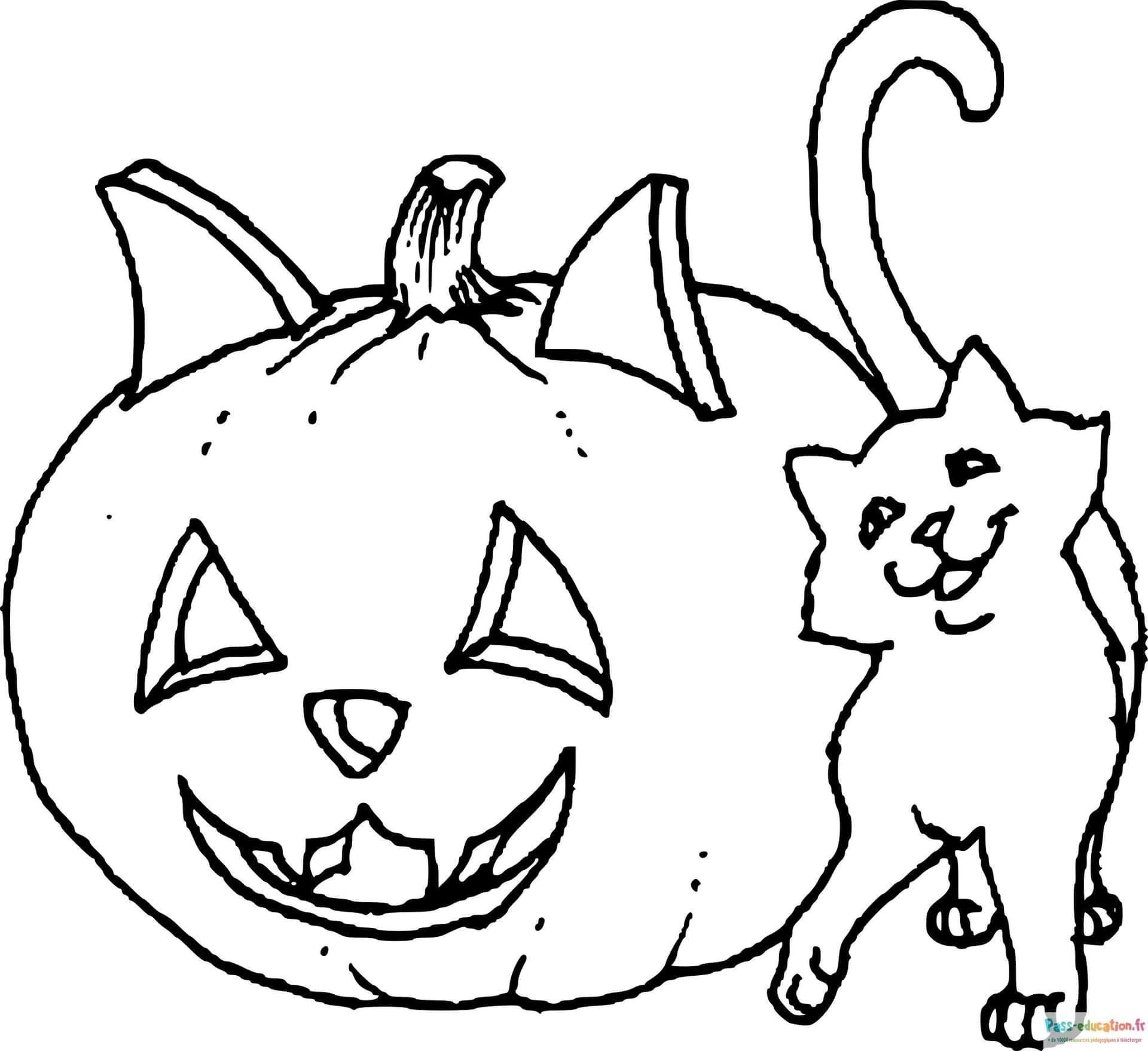 Citrouille Chat Halloween