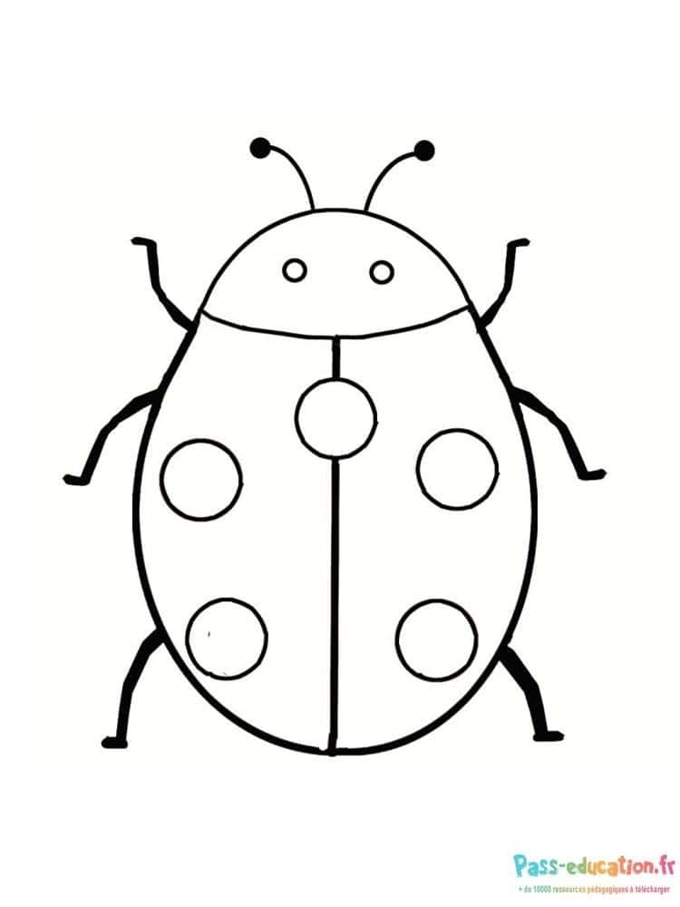 Coccinelle dessin simple gratuit à imprimer