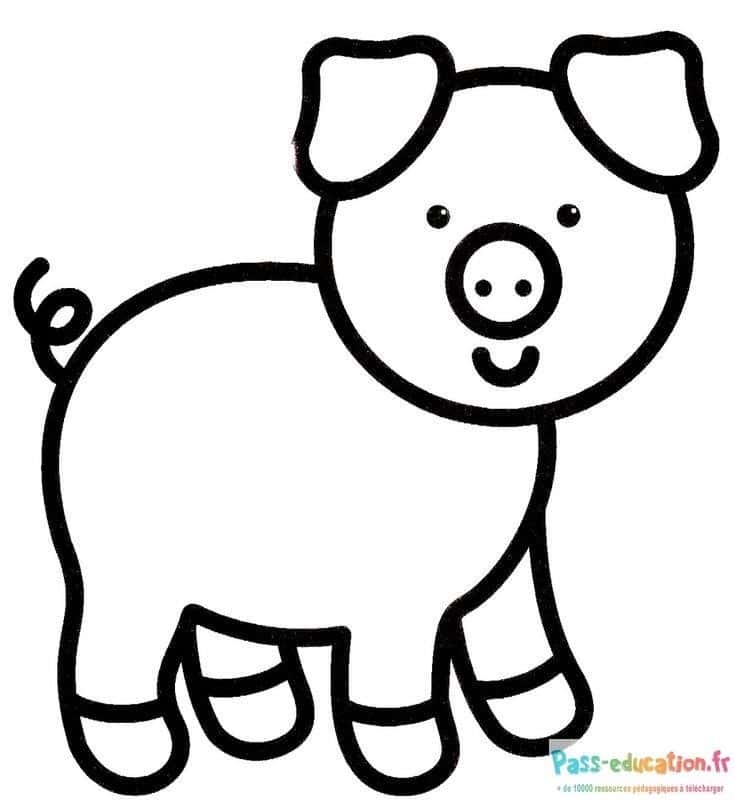 Dessin cochon simple