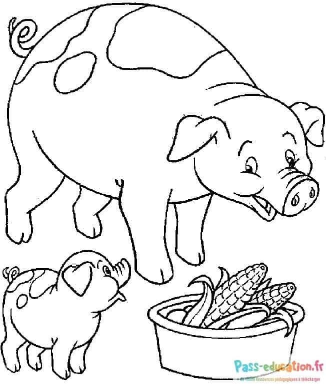 Cochons et maïs coloriage gratuit à imprimer